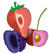 Berries Consorzio Frutta
