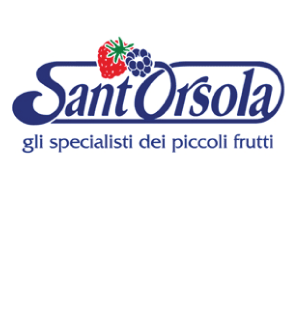 Logo Sant'Orsola